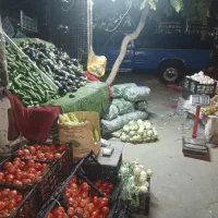 شاگردمیوه فروشی