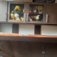 تخت تاشو دونفره|تخت و سرویس خواب|تهران, بهاران|دیوار