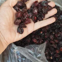 زغال اخته با هسته ۱۷۰تومان آلوچه ۷۰تومان ملس هست|خوردنی و آشامیدنی|تبریز, |دیوار