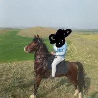 اسب