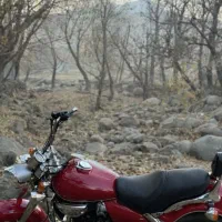 موتورهارلی