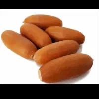 فروش بلوط به صورت تناژ بالا