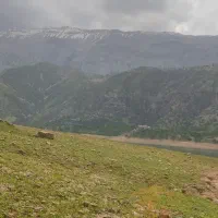زمین-فروشی-یا-معاوضه-با-ماشین