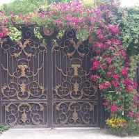 خدمات باغبانی هرس سم پاشی