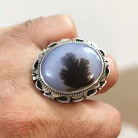 شجر رکاب زنجان|جواهرات|اصفهان, خرم|دیوار