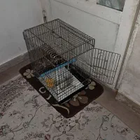 قفس کاسکو|لوازم جانبی حیوانات|اهواز, شریعتی جنوبی|دیوار