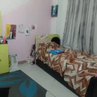 تخت نوجوان به همراه دراور وآینه و تخت مهمان|تخت و سرویس خواب|فیروزکوه, |دیوار