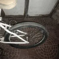 دوچرخه ویوا 26 تنه آلمینیوم|دوچرخه، اسکیت، اسکوتر|تربت جام, والفجر|دیوار