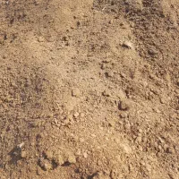 کود حیوانی|خدمات باغبانی و درختکاری|قزوین, |دیوار