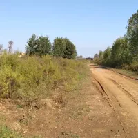 فروش زمین ۲۰۰ متری بر خیابان ۱۵ متری در فلکده|فروش زمین و ملک کلنگی|رشت, لاکان|دیوار