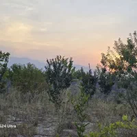 یک قطعه باغ به متراژ ۱۳۲۰ متر با سند تک برگ|فروش زمین و ملک کلنگی|شیراز, شاه قلی بیگی|دیوار