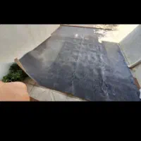 پالاز موکت