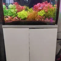 اکواریوم ۶۰سانتی همراه میز تازه ساخت تمام ام دی اف