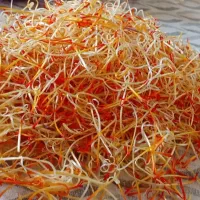 زعفران درجه یک قاینات|خوردنی و آشامیدنی|شیراز, شهرک مهدیه|دیوار