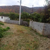 زمین|فروش زمین و ملک کلنگی|چالوس, |دیوار