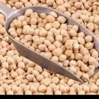 فروش نخود درج یک بوجای شد کاشت امسال به فرش میرسه