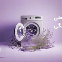 جرم گیر قدرتمند بدون بو و بخار دوسی|مواد شوینده و دستمال کاغذی|شهرکرد, |دیوار