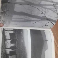 آرشیو مجله عکس|کلکسیون و سرگرمی|تهران, میدان ولیعصر|دیوار