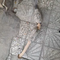 کاتالیزور نیسان