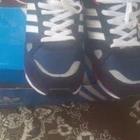 کفش zx750|کیف، کفش، کمربند|مرند, |دیوار