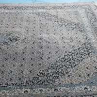 فرش ۱۲متری دونه ای ۴ تومن