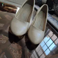 کیف کفش مجلسی در حد نو