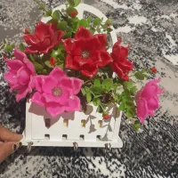 جا کلیدی و سویچی طرح گل