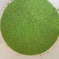 عدسک آبی (علوفه طلایی)خوراک غنی برای طیور وآبزیان