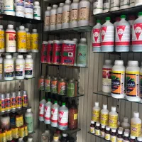 فروش سم های اصل برای سوسک، موش، حشرات موذی و .