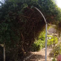 باغ تالار نامزدی عقد عروسی تولد همایش و اجتماعات|خدمات پذیرایی، مراسم|ورامین, ورامین|دیوار