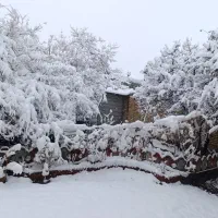 آموزش رانندگی