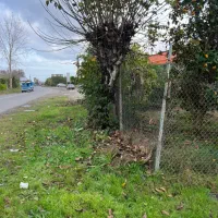 فروش4هزارمتر-باغ-کاملا-داخل-بافت-کنارجاده-اسفالت