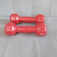 دمبل یک کیلویی  دو عدد