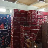 بیسکوییت مینی دایجستیو انواع عمده|خوردنی و آشامیدنی|تهران, شهرک ابوذر|دیوار