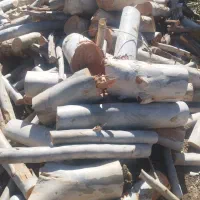 هرس کاری و برش کاری درخت