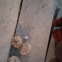 قالب فروشی|مصالح و تجهیزات ساختمان|بهبهان, |دیوار