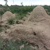 سراچین