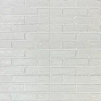 بک گراند عکاسی.