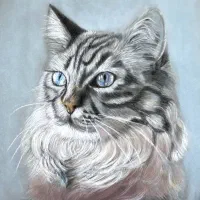 آموزش طراحی نقاشی و کالیگرافی|خدمات آموزشی|تهران, مرزداران|دیوار