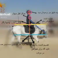 آموزش سوارکاری از پایه تا حرفه ای|خدمات آموزشی|تهران, پیکان شهر|دیوار