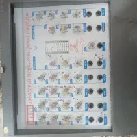 آمپلی فایر اکو دار