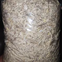 پوشال بسته بندی شده