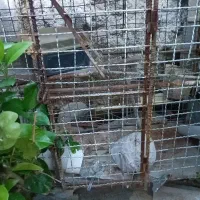 فروش قفس مرغ دوطبقه