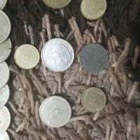 اسکناس قدیمی سکه قدیمی|کلکسیون سکه، تمبر، اسکناس|ماهدشت, |دیوار