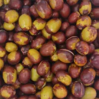 عناب تازه درشت شیرین