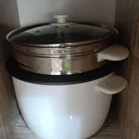 پلوپز بخار پز