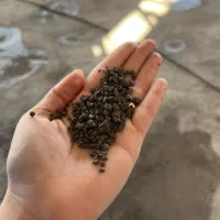 پوکه معدنی محمد|عمده‌فروشی|قروه, |دیوار