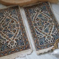 تعدادی پادری|پادری|شیراز, ملاصدرا|دیوار