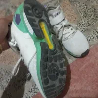 zxفولوکس ساق دار کفه کاهویی|کیف، کفش، کمربند|بهارستان, |دیوار