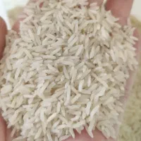 برنج طارم فجر